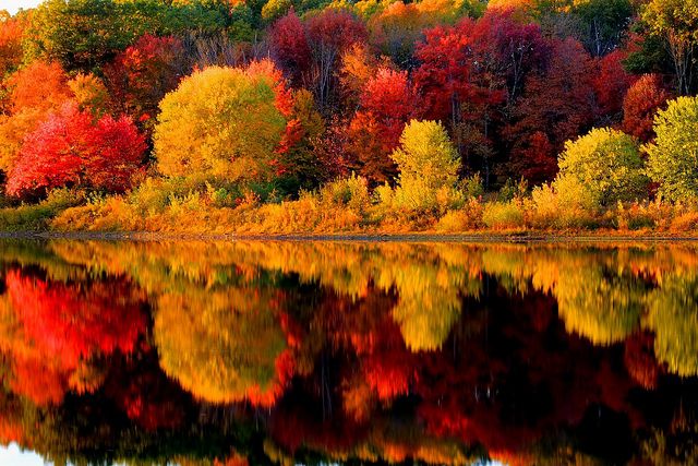 New England fall foliage